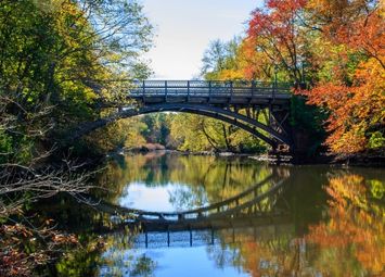 Connecticut in the Fall