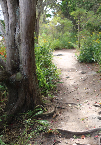 Madison, Hammonasett Beach - hiking path